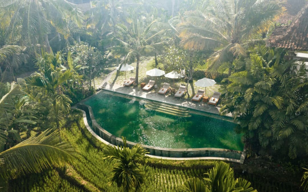 Alaya Resort Ubud